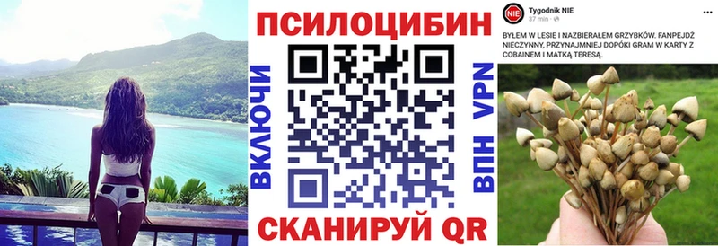 Псилоцибиновые грибы Psilocybe  наркошоп  Сафоново 