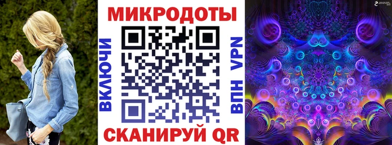Галлюциногенные грибы Psilocybe Сафоново
